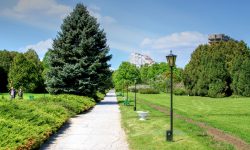 Acțiunea de salubrizare cu participarea întregului efectiv al serviciilor municipale de salubrizare, în sectorul Botanica, pe bd. Dacia, tronsonul str. Valea Crucii – str. Trandafirilor