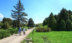 Acțiunea de salubrizare a malurilor râului Bâc cu participarea voluntarilor, cetățenilor și subdiviziunilor municipale