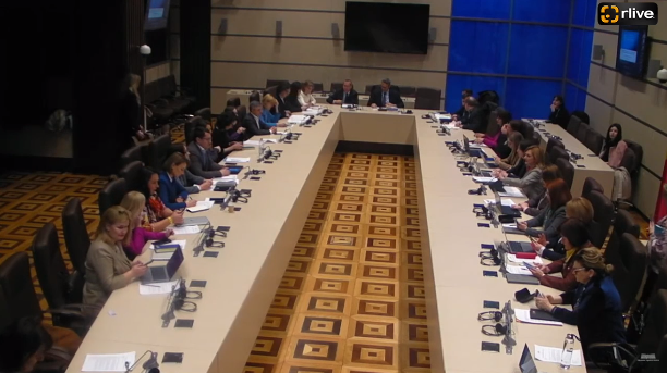 Comisia parlamentară politică externă și integrare europeană desfășoară audieri publice
