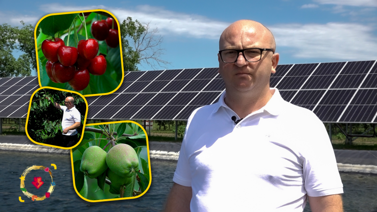 Victor Scutaru din Edineţ şi-a construit un parc fotovoltaic pentru cele 80 ha de livezi moderne