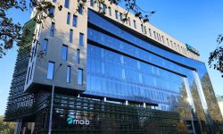 High-Level Conference on Media Literacy and Information Integrity: Building Resilience to Disinformation and FIMI in Europe