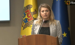 Romii și viitorul muncii: o perspectivă asupra drepturilor sociale