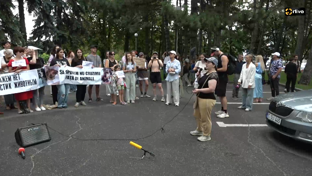 Protest pentru protecția animalelor în fața Guvernul Republicii Moldova